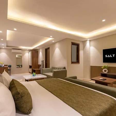 Saltstayz Premier - Paschim Vihar